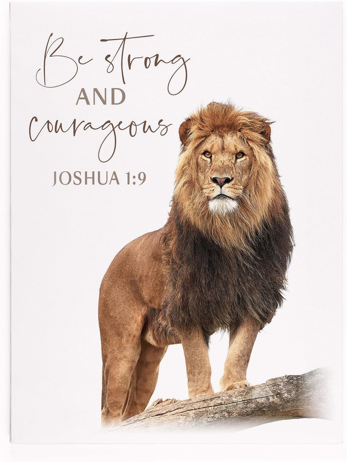 P. Graham Dunn Be Strong and Courageous Lion On White 15.75 x 12 Canvas Decorative Sign